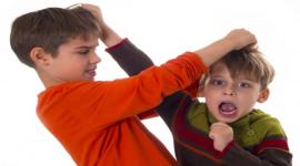 صراع الإخوة.. جسور حب وثقة تزرع بإدارة أسرية فاعلة