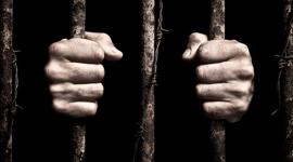 الحركة الأسيرة داخل سجون الاحتلال- أرشيف