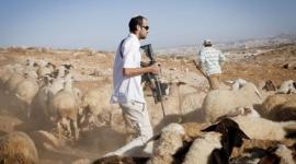 قرية الثعلة في مدينة الخليل بالضفة الغربية