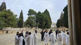 فوج المعتمرين من ساحات المسجد الأقصى المبارك