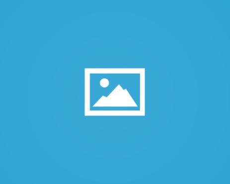 د. أحمد محمد بحر