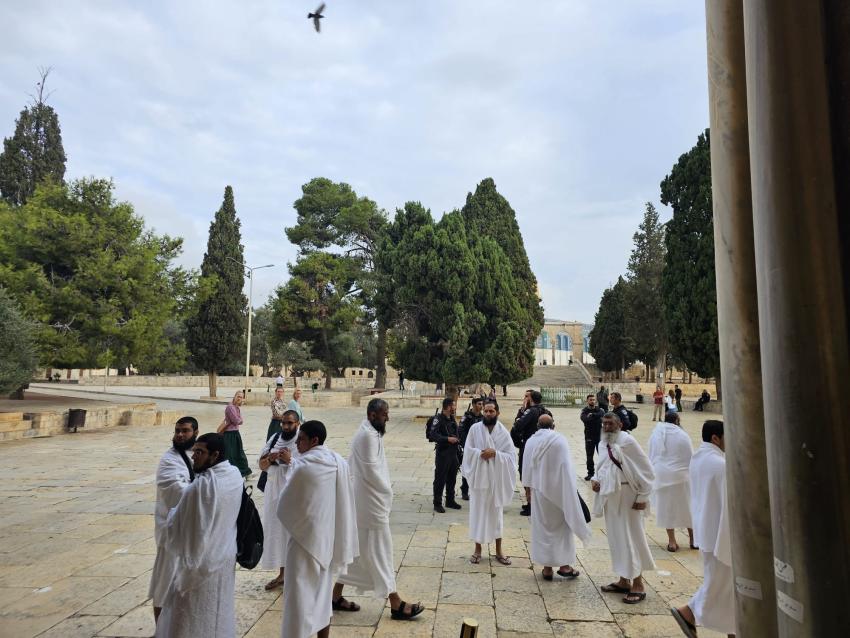 فوج المعتمرين من ساحات المسجد الأقصى المبارك