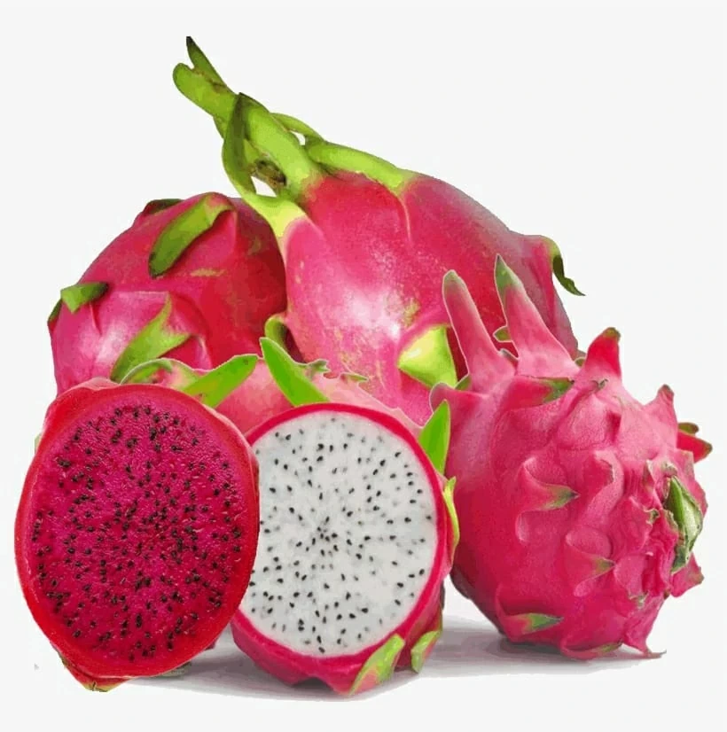 التنين